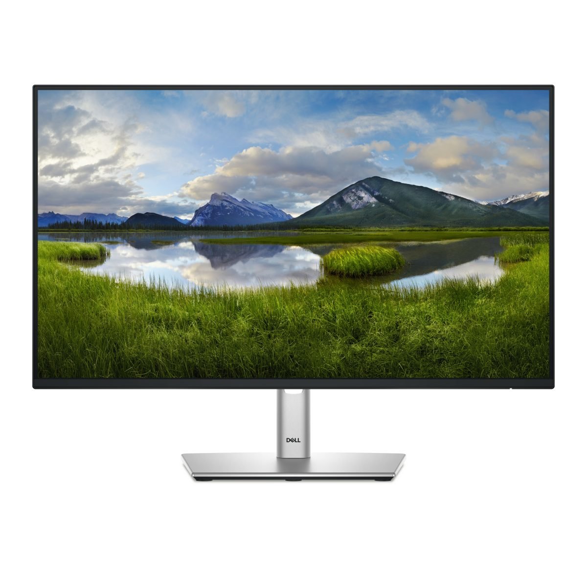 Dell 24 USBC Hub P2425HE