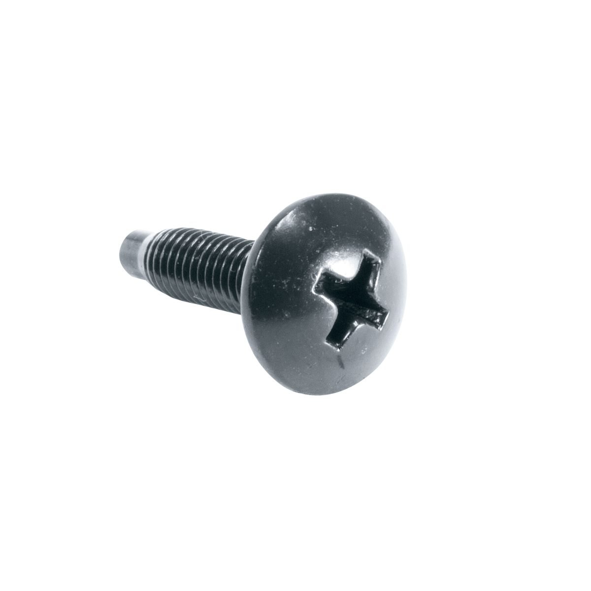 Middle Atlantic 100PC 10 32 RUST RST SCW HG