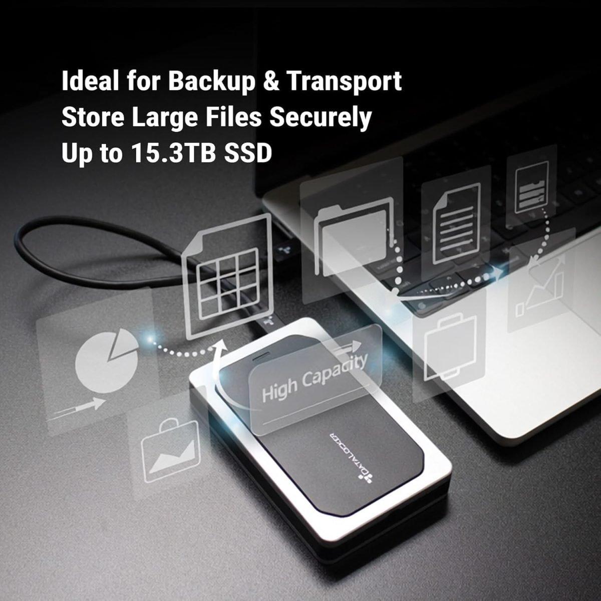 DataLocker DL450 1TB MANAGED Encryptd SSD DL450-SSD-1TB-FE-M