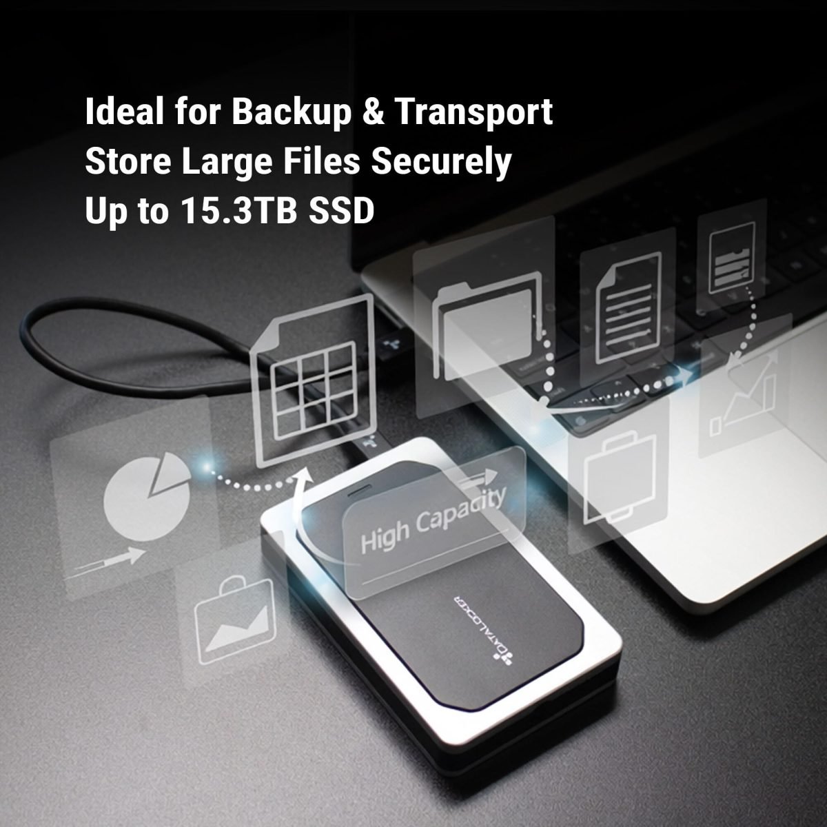 DataLocker DL450 2TB Encrypted ESSD DL450-SSD-2TB-FE