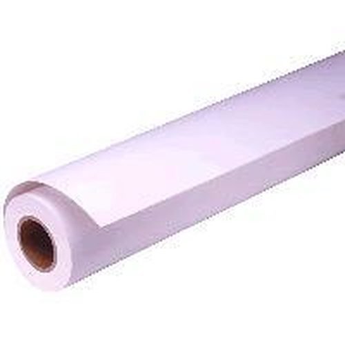 Epson Pro Presentation Matte 24"X82" S041295
