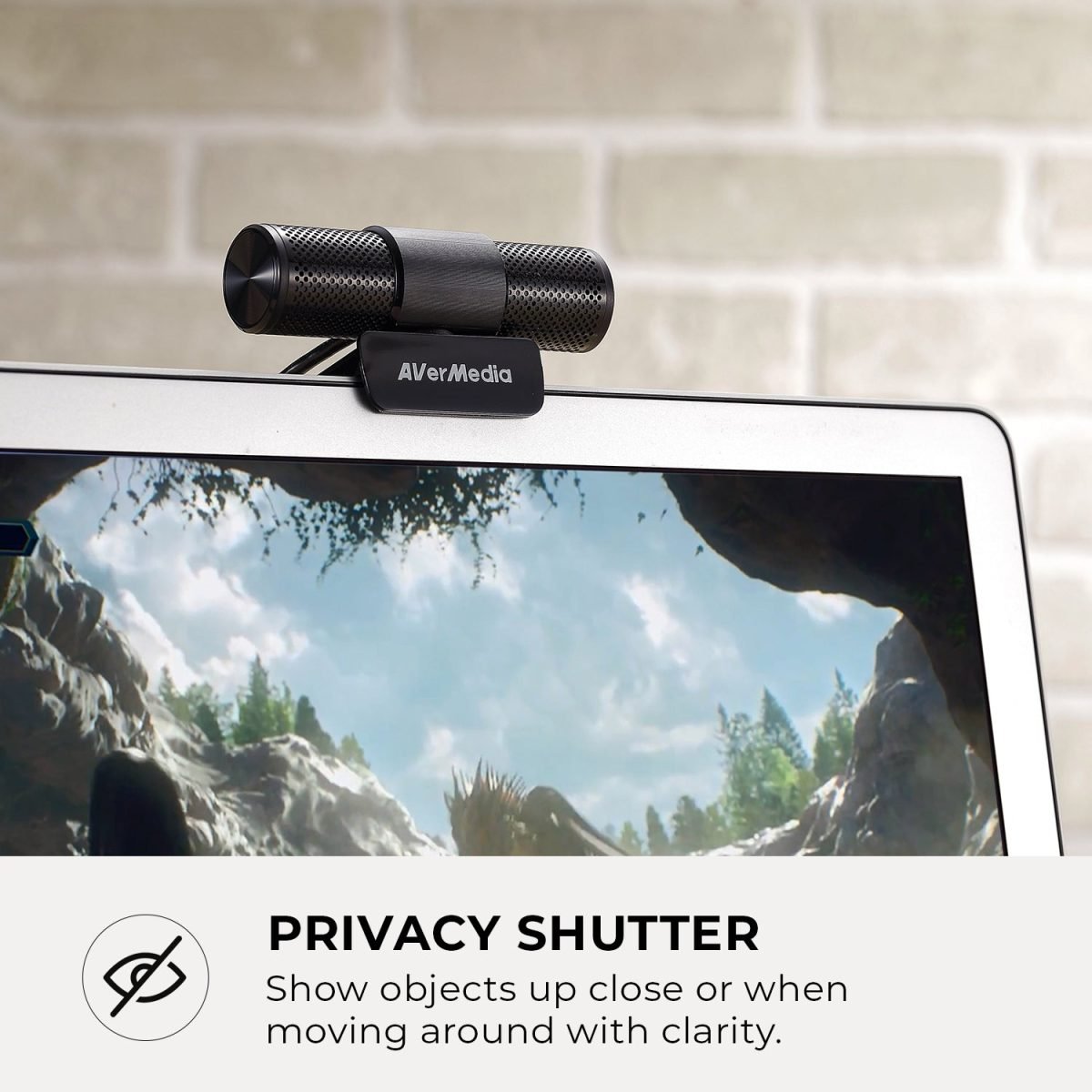 AVermedia Technology Live Streamer CAM 313 PW313