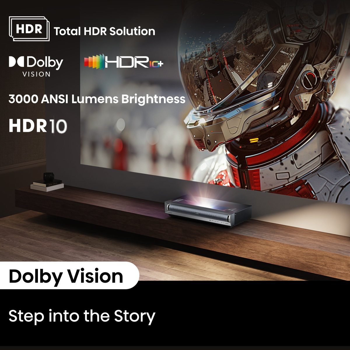 Hisense VisionInfo Standard HXF13