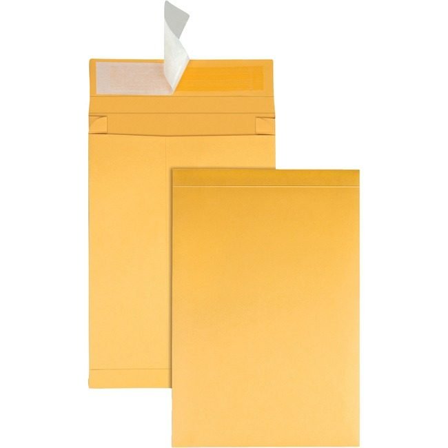 Quality Park Products Envelope Rstrp Expn 9X12X2 QUA93334