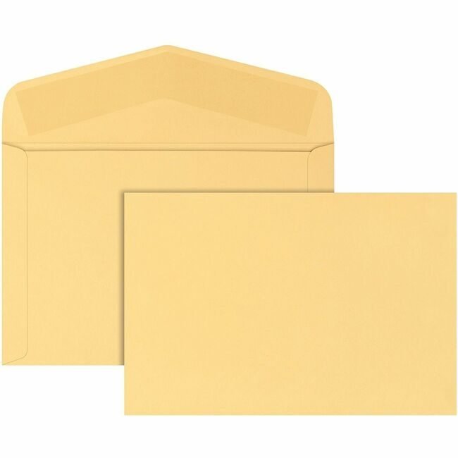 Quality Park Products Envelope Document 10X15 Cbf QUA54416