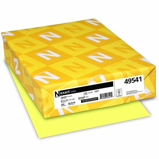 Neenah Paper, Inc. Astrobrights Letter 250 Pack 110# Ca WAU49541