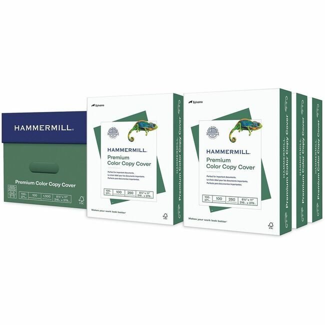 Sylvamo / Hammermill Paper 8 1/2X11 100 LB White HAM120024