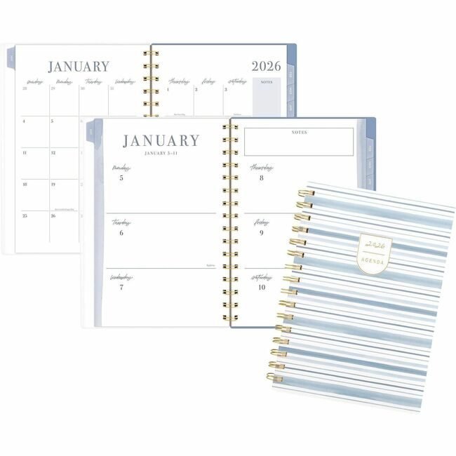 ACCO Brands AT-A-GLANCE Planner Lbisch Wm Small Stripe AAGLB42200