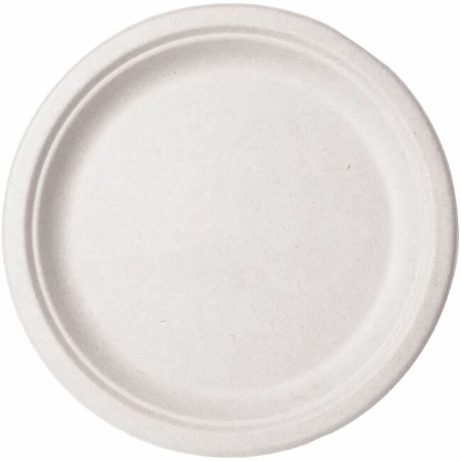 Vegware Plate Nat Fiber 10" 500 Count VEGVWP005NFA