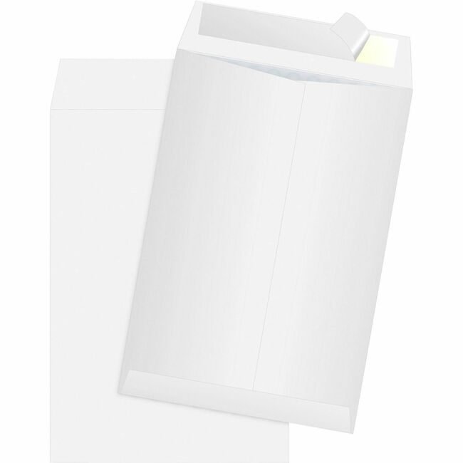 Quality Park Products Mailer Bubble Tyvek 6.5X9.5 QUAR7501