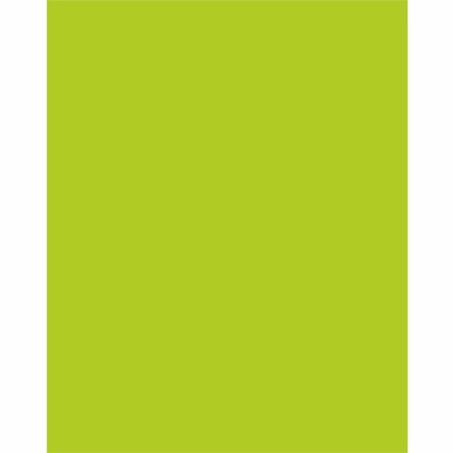 Pacon Corporation Board Poster 22X28 Lm 25 Pack PAC5411-1