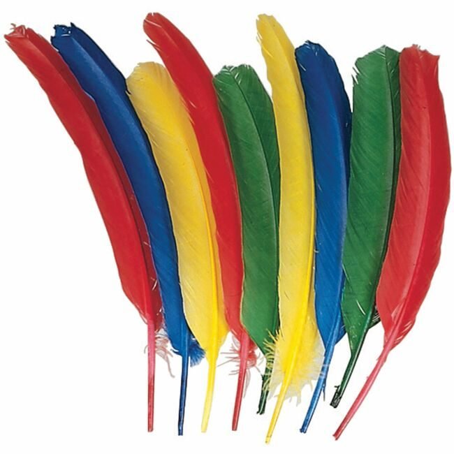 Pacon Corporation Feathers Quill 24 Pack Assorted PAC4503