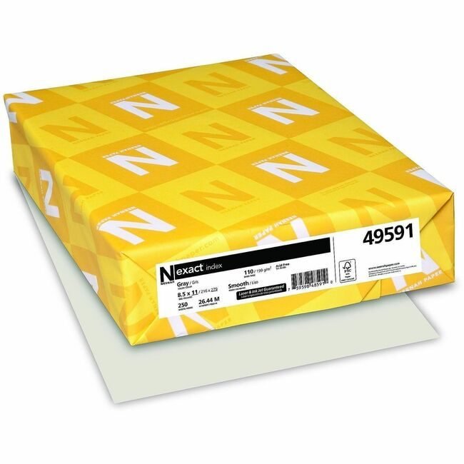 Neenah Paper, Inc. Astrobrights Letter 250 Pack 110# Gray WAU49591