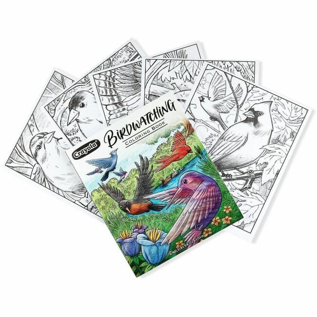 Crayola LLC Clrgbk 40Pgs Fgs Bird Watching CYO041133