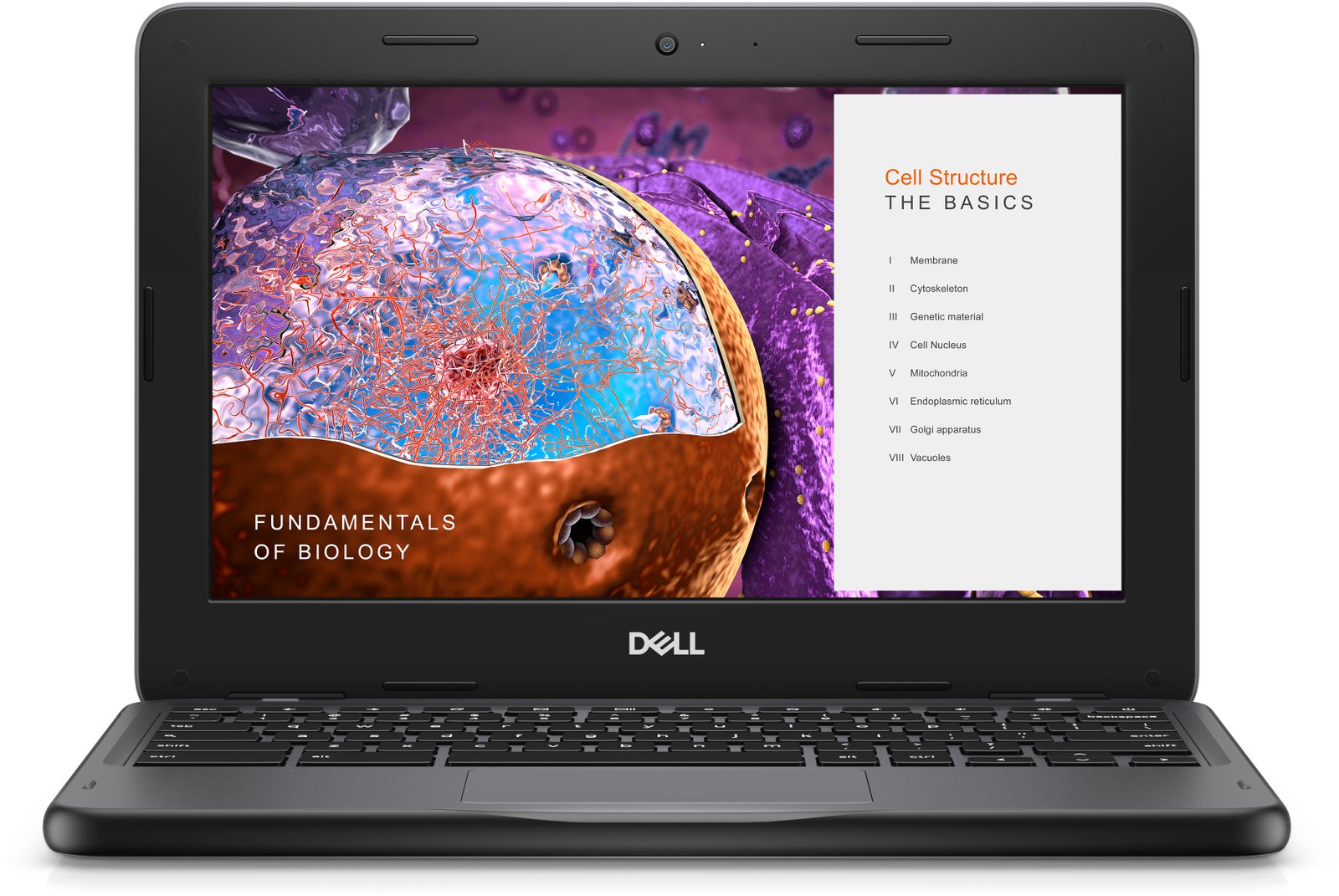 DELL CHROMEBOOKS Chromebook 3110 Intel® Celeron® N N4500 29.5 cm (11.6") Touchscreen HD 4 GB