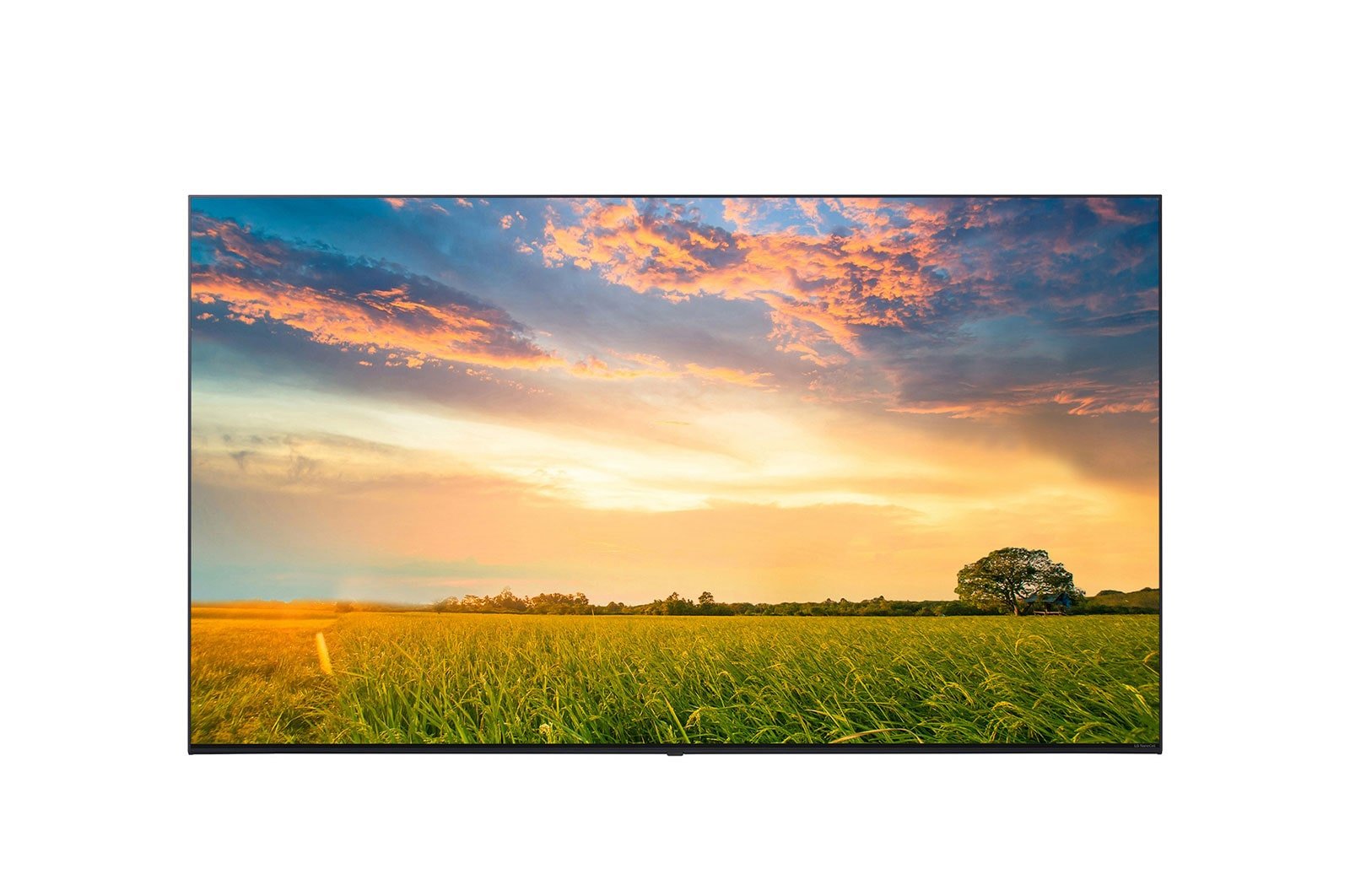 LG HOSPITALITY 65UR567H9UD 165.1 cm (65") 4K Ultra HD 330 cd/m² Black 20 W 65UR567H9UD.AUS