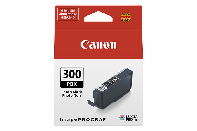 CANON - INK SUPPLIES PFI-300 cartridge 1 pc(s) Original Photo black 4201C002