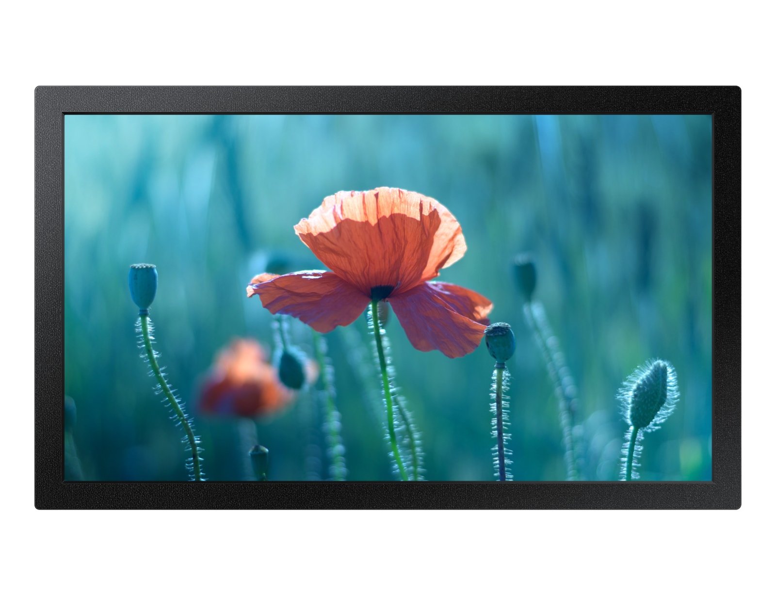 SAMSUNG COMMERCIAL LARGE FORMAT LH13QBRTMGCXZA Signage Display 33 cm (13") LED Wi-Fi 300 cd/m² Full QB13R-TM