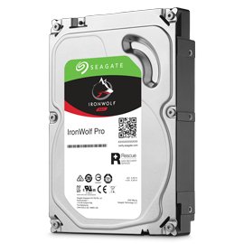 SEAGATE - NAS SINGLE IronWolf Pro ST10000NTZ01 internal hard drive 10 TB 7200 RPM 3.5" Serial ATA