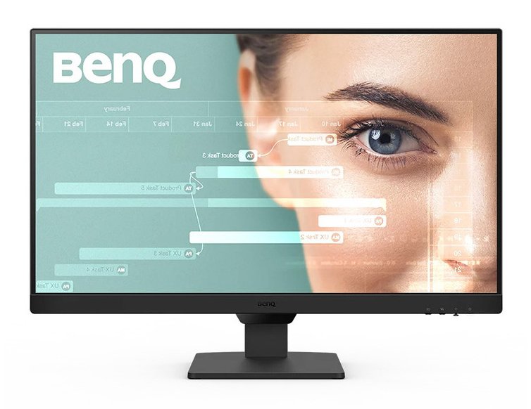 BENQ LCD MONITORS GW2490T computer monitor 60.5 cm (23.8") 1920 x 1080 pixels Full HD Black