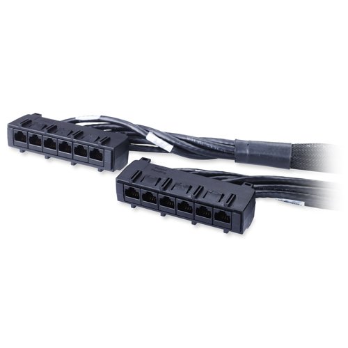 APC by Schneider Electric APC SCHNEIDER ELECT IT DIRECT SHIP 31ft Cat6 UTP, 6x RJ-45 - networking cable Black 9.45 m U/UTP DDCC6-031