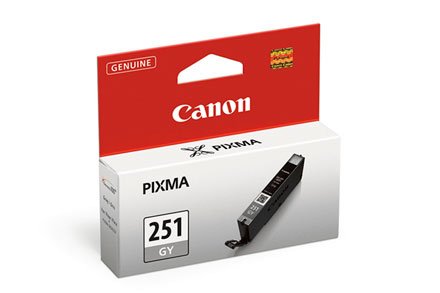 CANON - INK SUPPLIES CLI-251GY cartridge 1 pc(s) Original Standard Yield Grey 6517B001