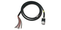 APC by Schneider Electric APC SCHNEIDER ELECT IT DIRECT SHIP TC 5Wire Whip W/L21-20 33ft Black PDW33L21-20R